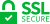 Logo SSL-encryptie